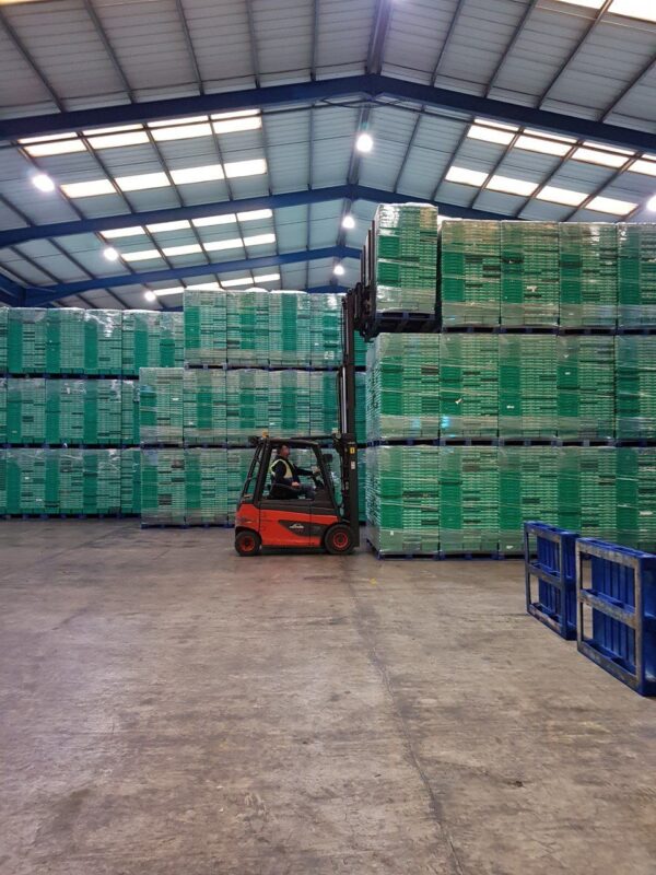 forklift-truck-training