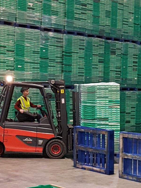 forklift-truck-training